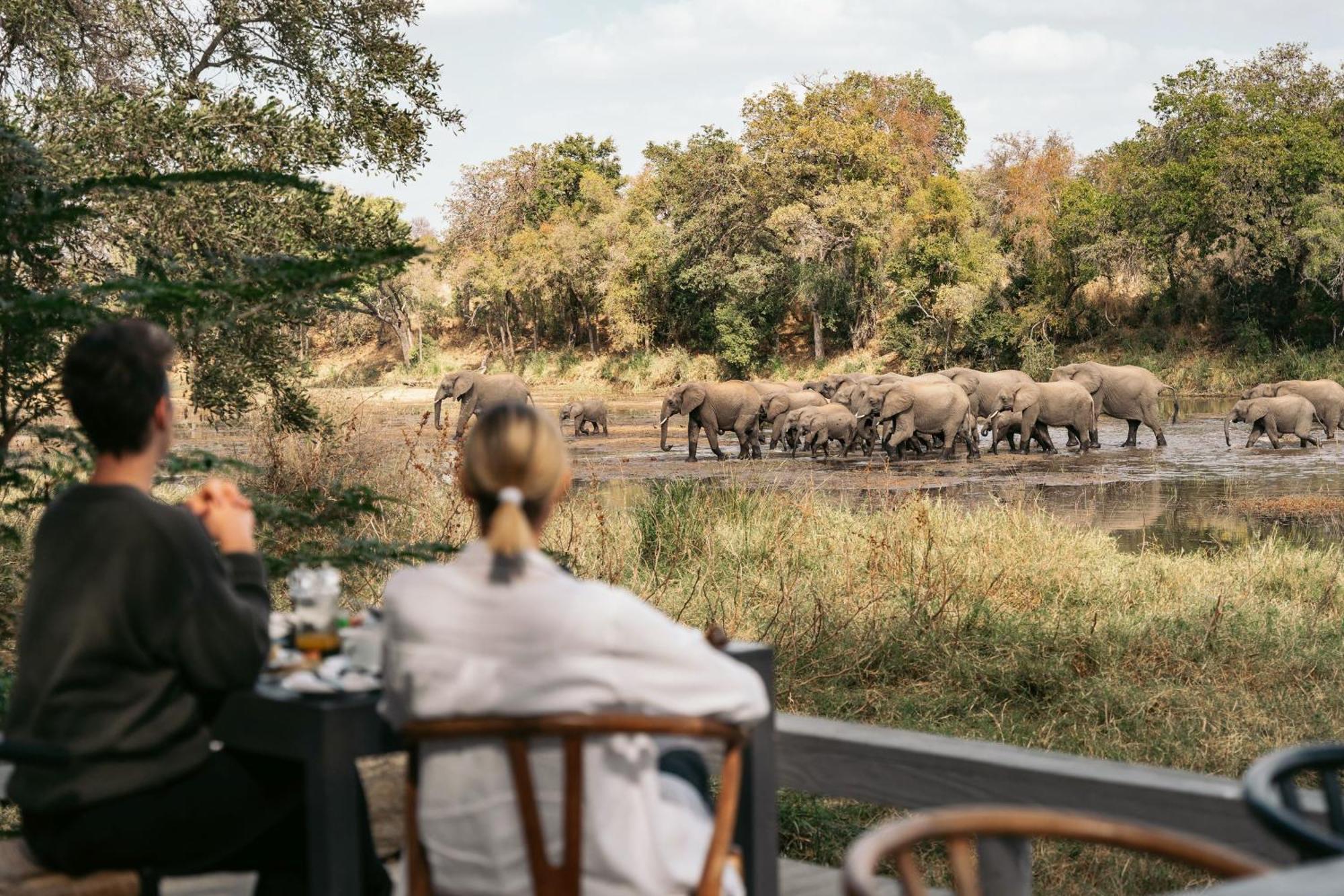 Simbavati River Lodge Timbavati Game Reserve Exterior foto