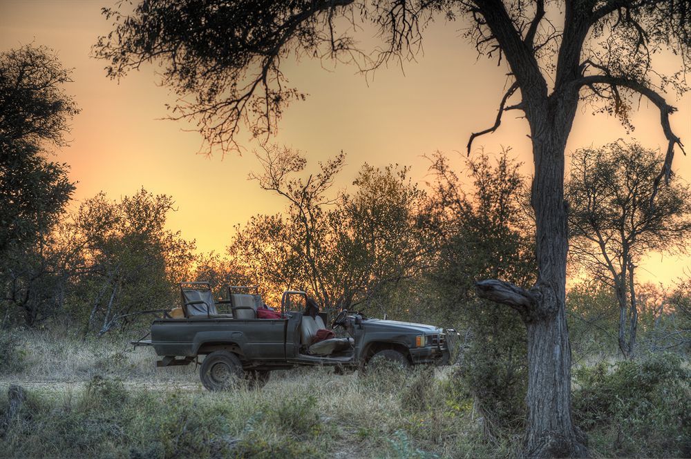 Simbavati River Lodge Timbavati Game Reserve Exterior foto